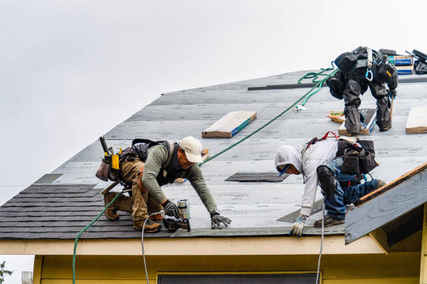 Professional Flat Roof Repair technician working in Lambert, MS